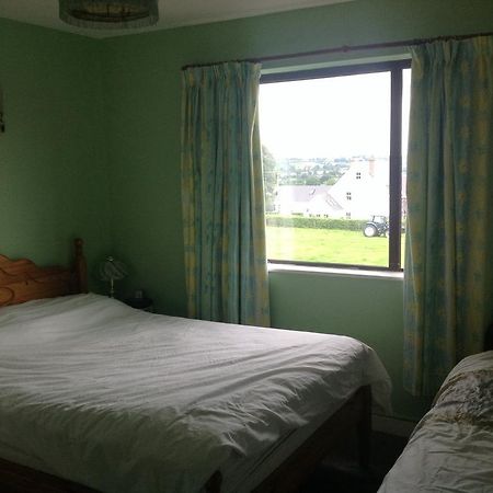 Hill View B&B Silvermines Buget Accomodation Exterior photo