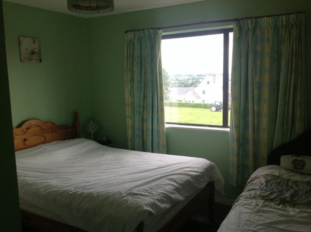 Hill View B&B Silvermines Buget Accomodation Exterior photo